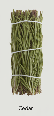 CEDAR