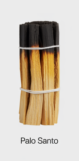 PALO SANTO