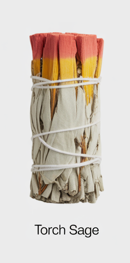 TORCH SAGE