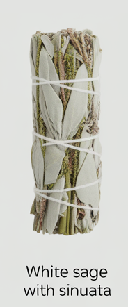WHITE SAGE WITH SINUATA