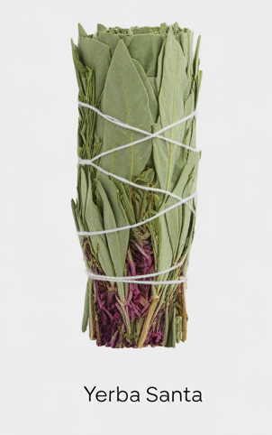 YERBA SANTA